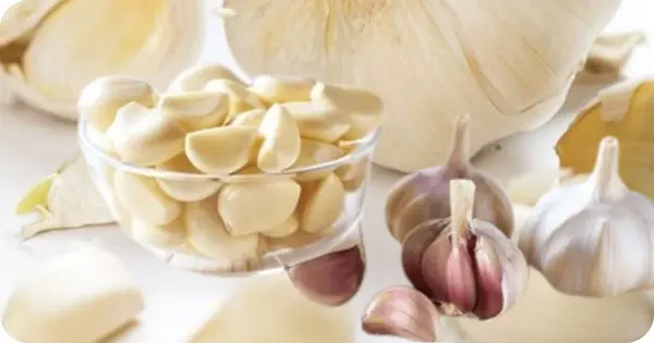 CHINIES GARLIC