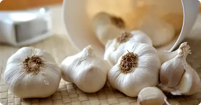 garlic