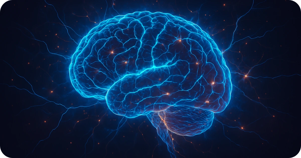 Human brain